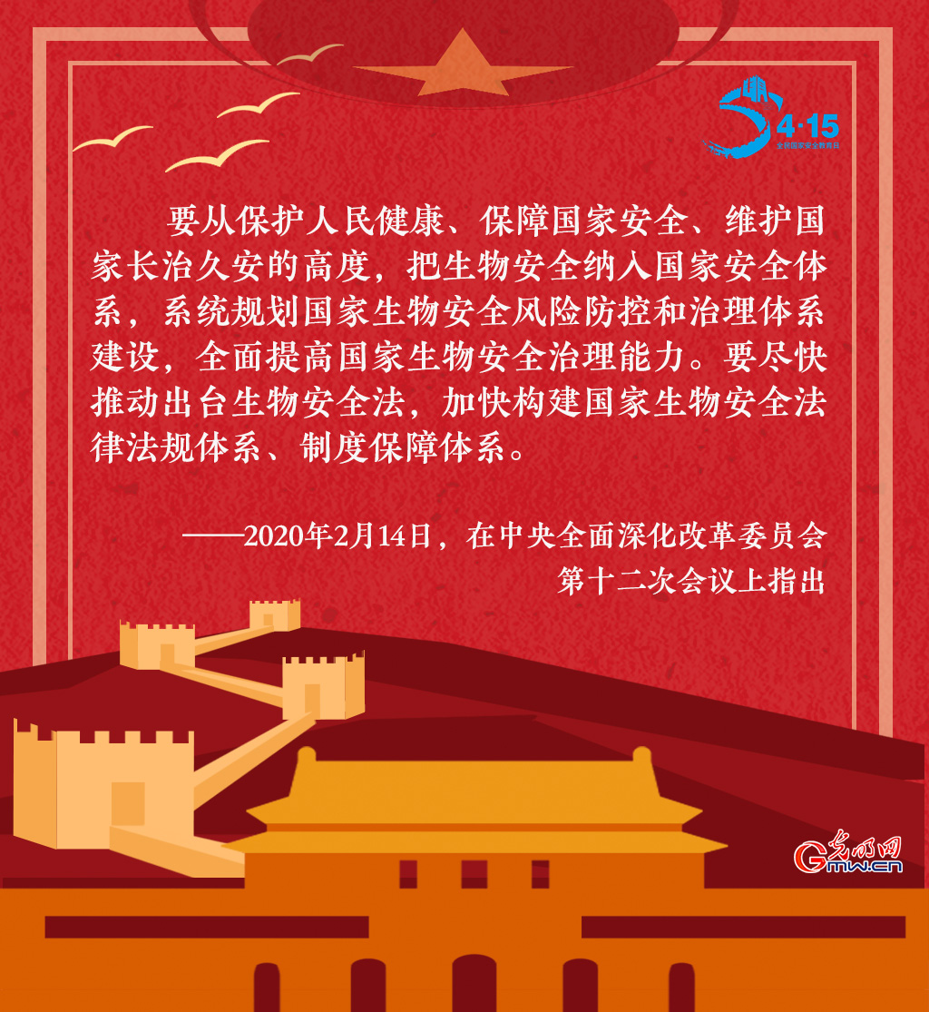 全民国家安全教育日 一起回顾习近平这些话