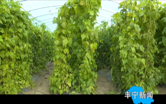 说明: http://image.qingk.cn/image/fnsjt/a150075eb1c647adaa0592996dd5eb3a.png