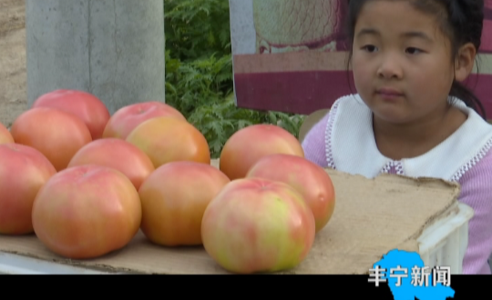 说明: http://image.qingk.cn/image/fnsjt/16521d2e4ae748ab807c7ba76f58b392.png